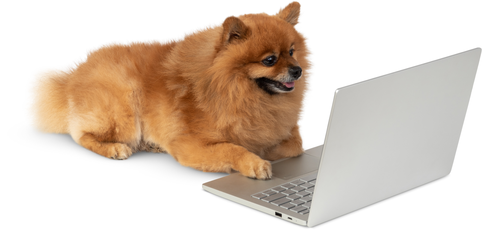 I like using computer too