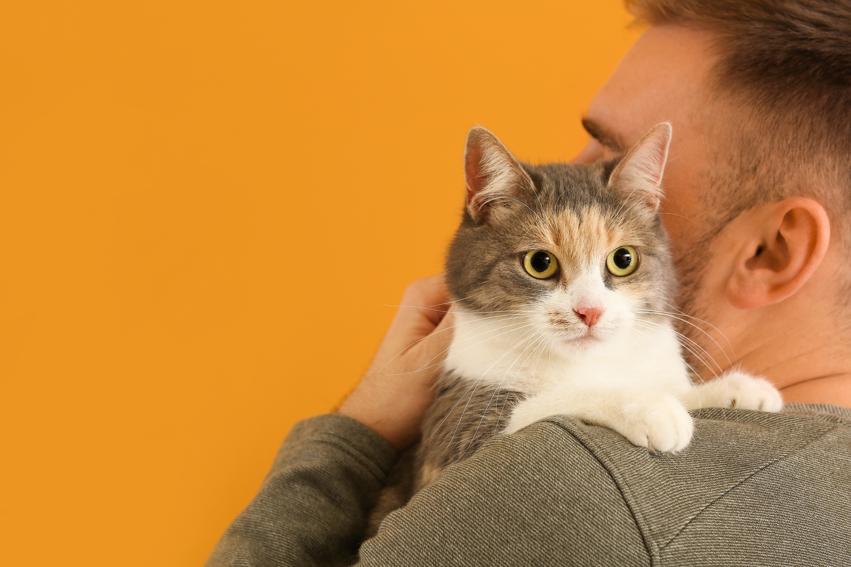 Person with Cat on Yellow Background